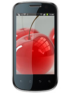 Best available price of Celkon A19 in Gambia