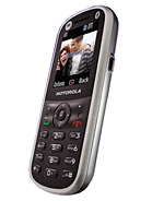 Best available price of Motorola WX288 in Gambia