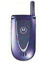 Best available price of Motorola V66i in Gambia
